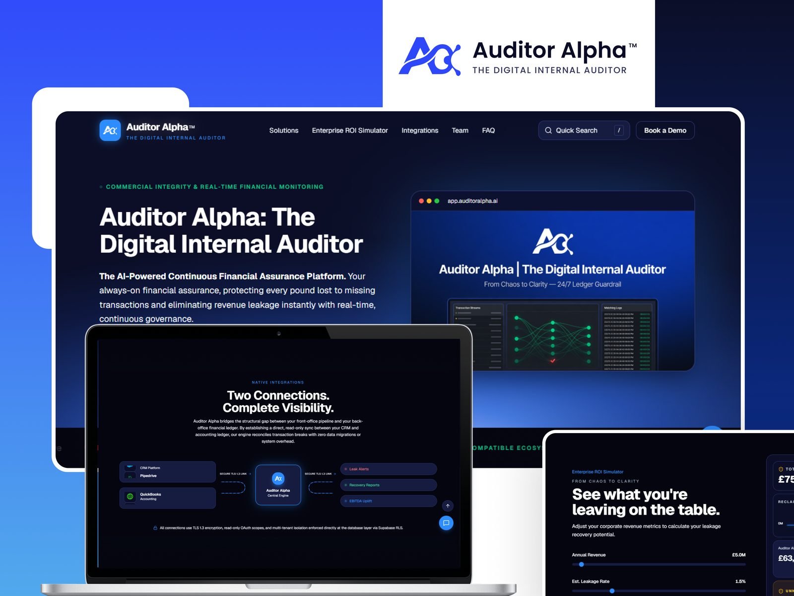 Auditor Alpha - project overview